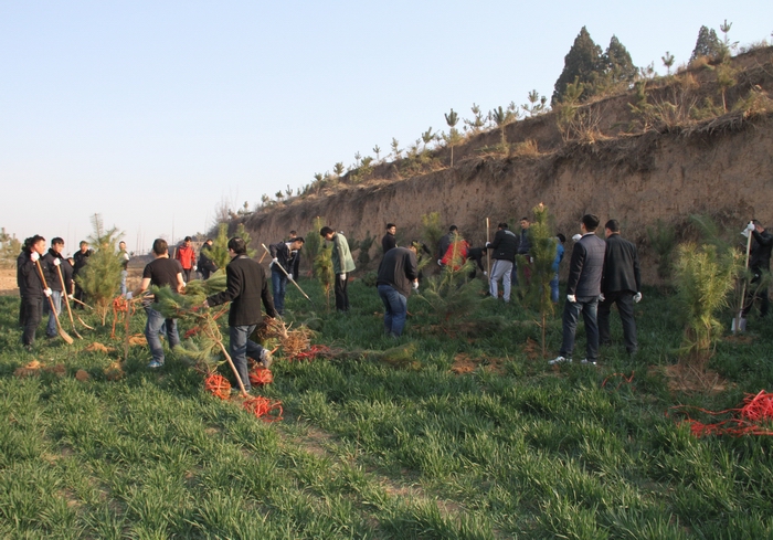 2017-3-8���F(tu��n)�x��(w��)ֲ�� 022.jpg