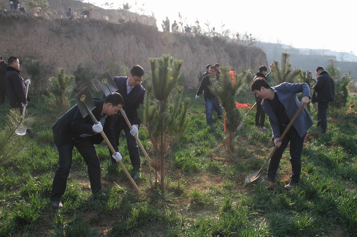 2017-3-8���F(tu��n)�x��(w��)ֲ�� 047.jpg