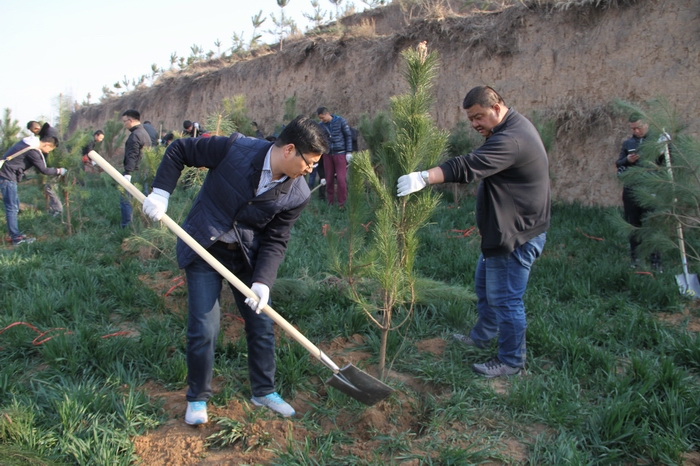 2017-3-8���F(tu��n)�x��(w��)ֲ�� 028.jpg